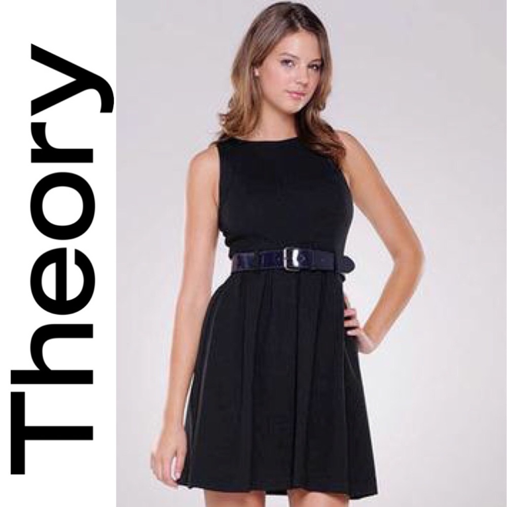 Theory Ardi Craze Pleated A-Line
